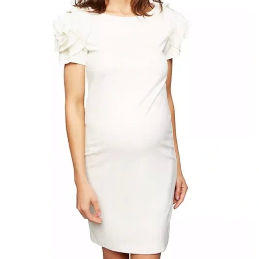 WORN ONCE MATERNITY Pietro Brunelli Rose Dress